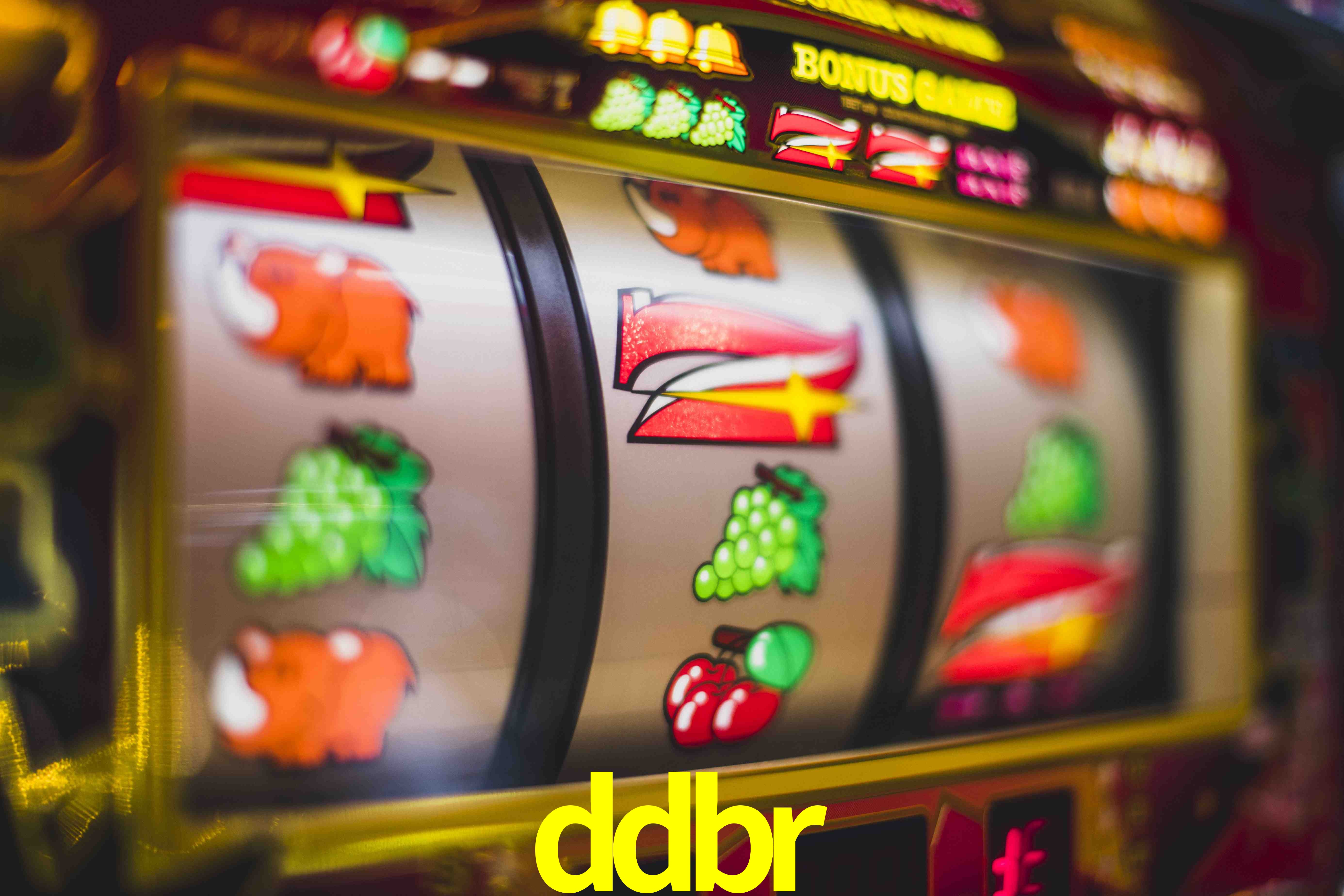 Basketball Betting ddbr